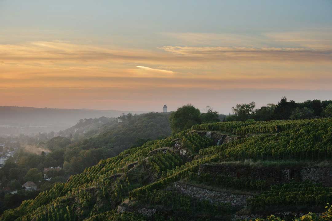 ausflugsziele sachsen elbland weinregion