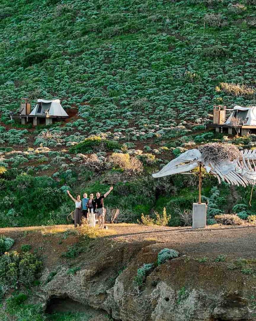 Glamping Magdalena Bay Whales