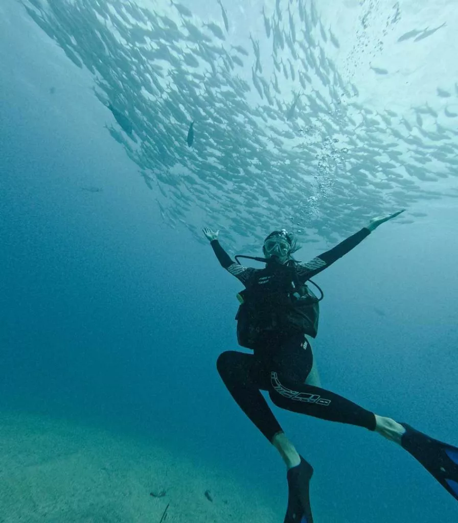 große Jackfisch-Schwärme in Cabo Pulmo