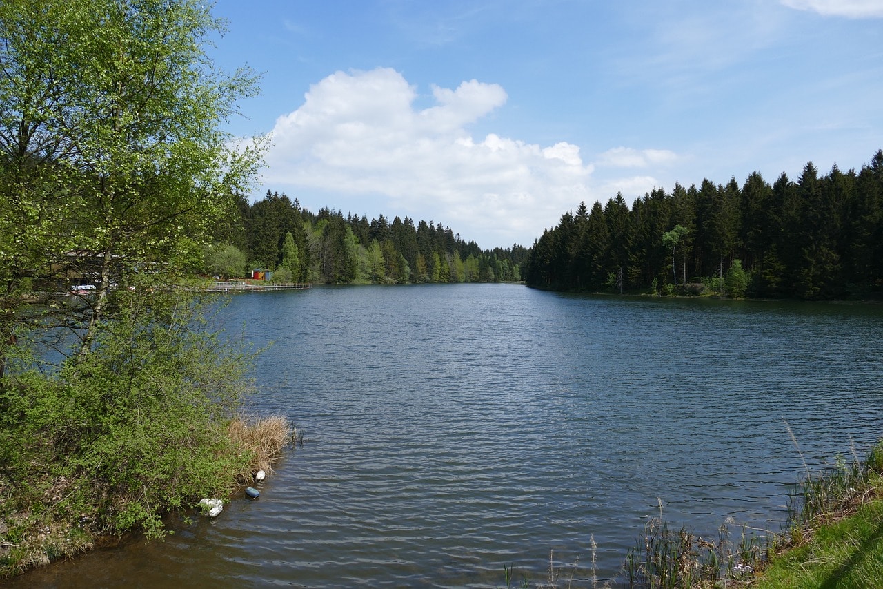 Grumbacher Teich im Harz