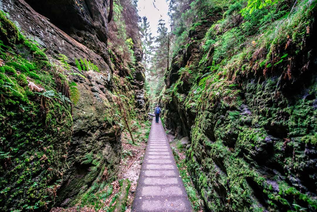 iStock 1267335029 Simon Dannhauer