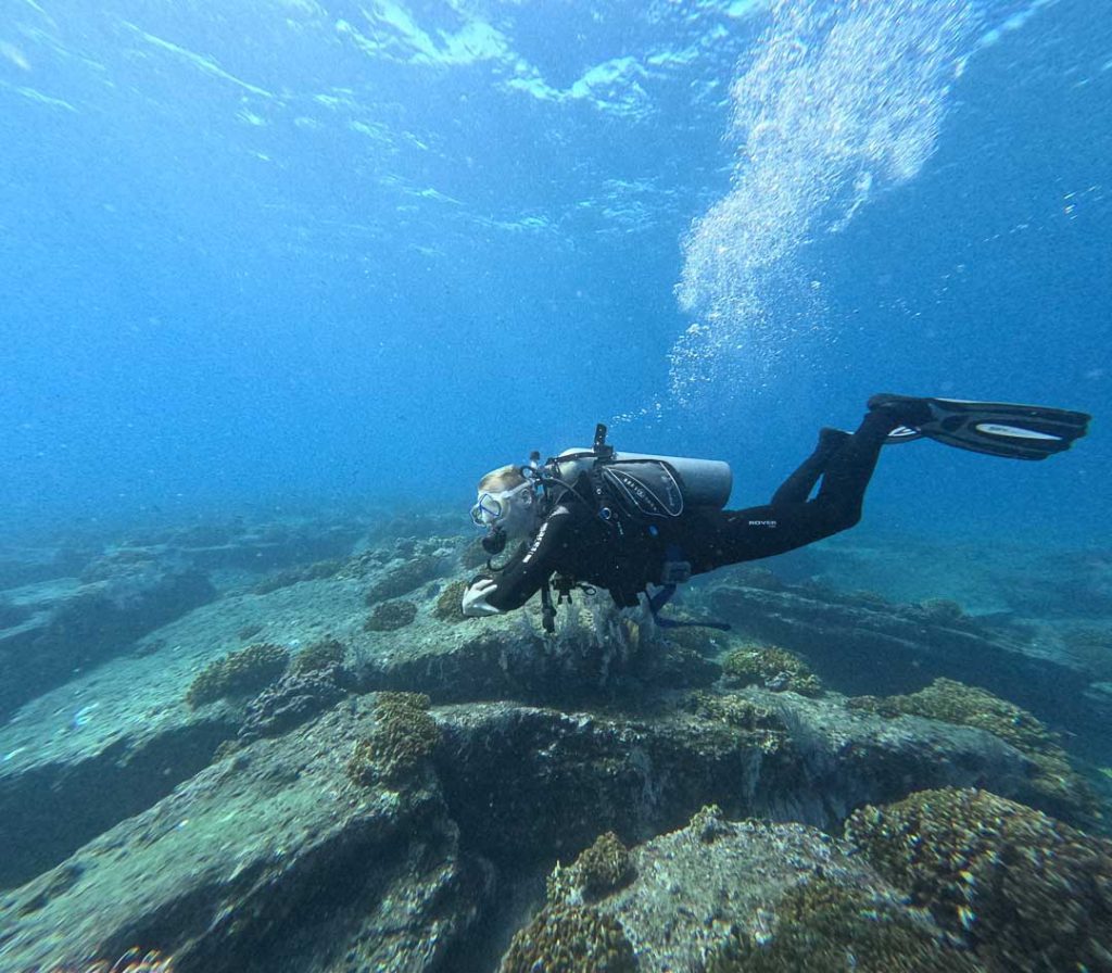 unglaublich gute Sicht beim Tauchen in Cabo Pulmo