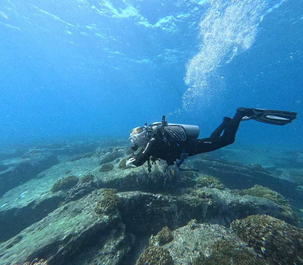 unglaublich gute Sicht beim Tauchen in Cabo Pulmo