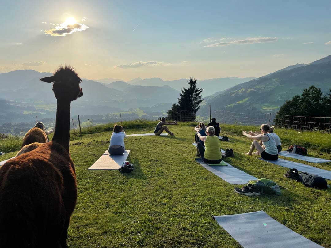 Alpaka Yoga @ TVB Kitzbueheler Alpen Brixental 17