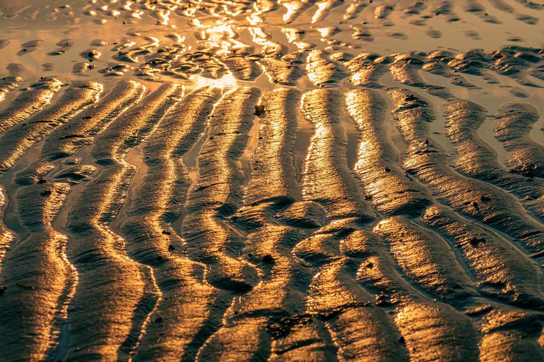 bremen ausflugsziele wattenmeer