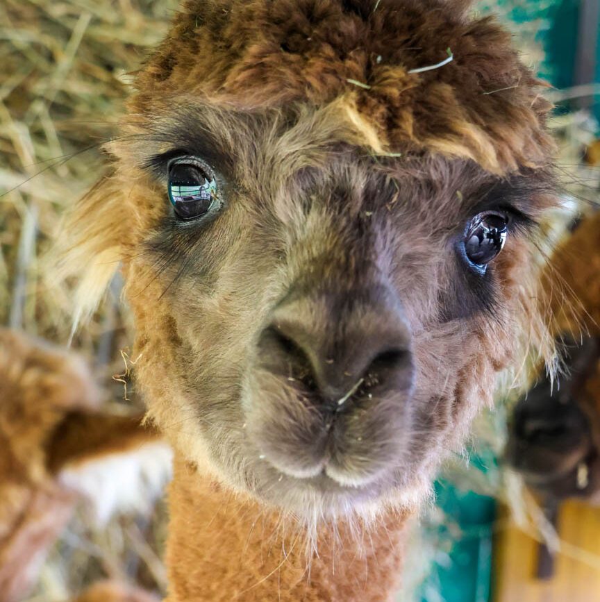 brixental oesterreich 2