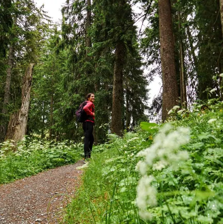 Brixental Österreich