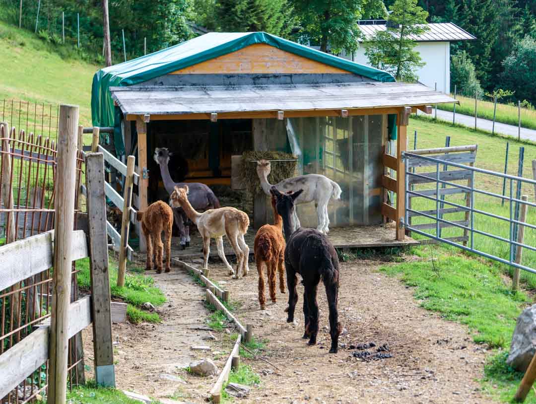 brixental oesterreich 38