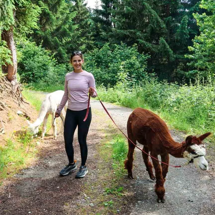 Brixental Österreich