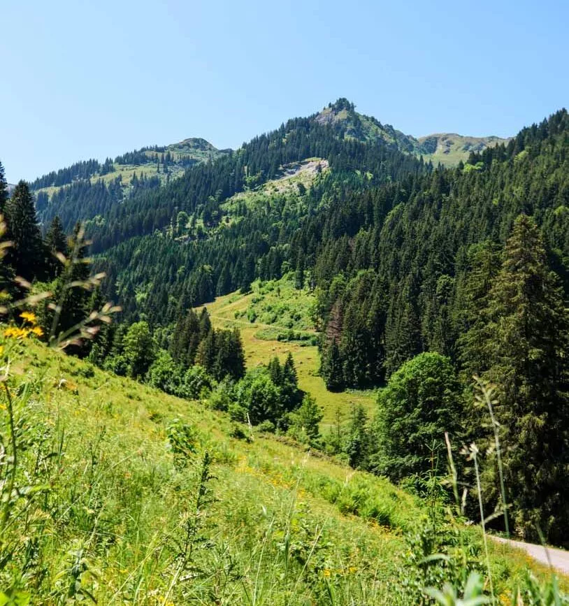 Brixental Österreich