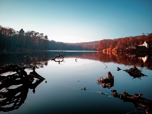 iStock 1273308756 Yvonne Hartmann