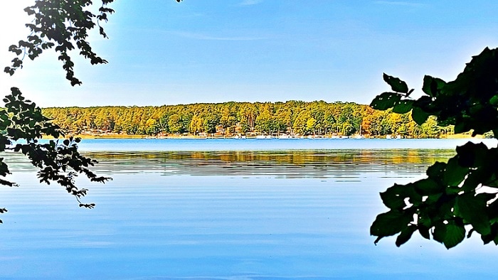 iStock 1290738137 Siglinde Fischer