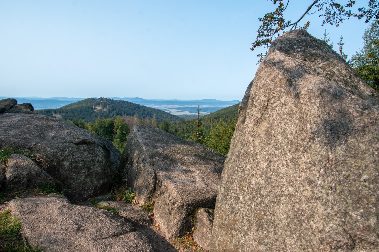 iStock 1301800673 Edda Dupree iStock 1301800673 Edda Dupree