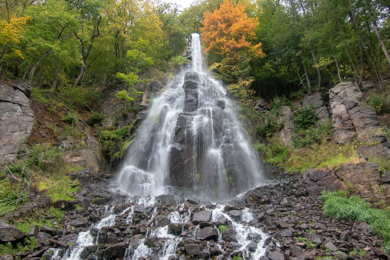 iStock 1437716913 Wirestock iStock 1437716913 Wirestock