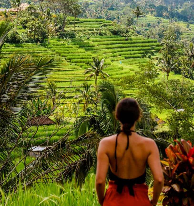 indonesien bali Jatiluwih Rice Terraces