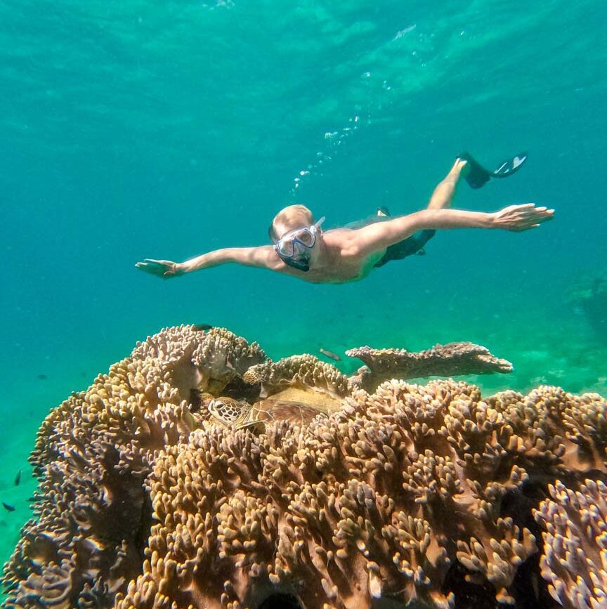 indonesien gili inseln schildkröten
