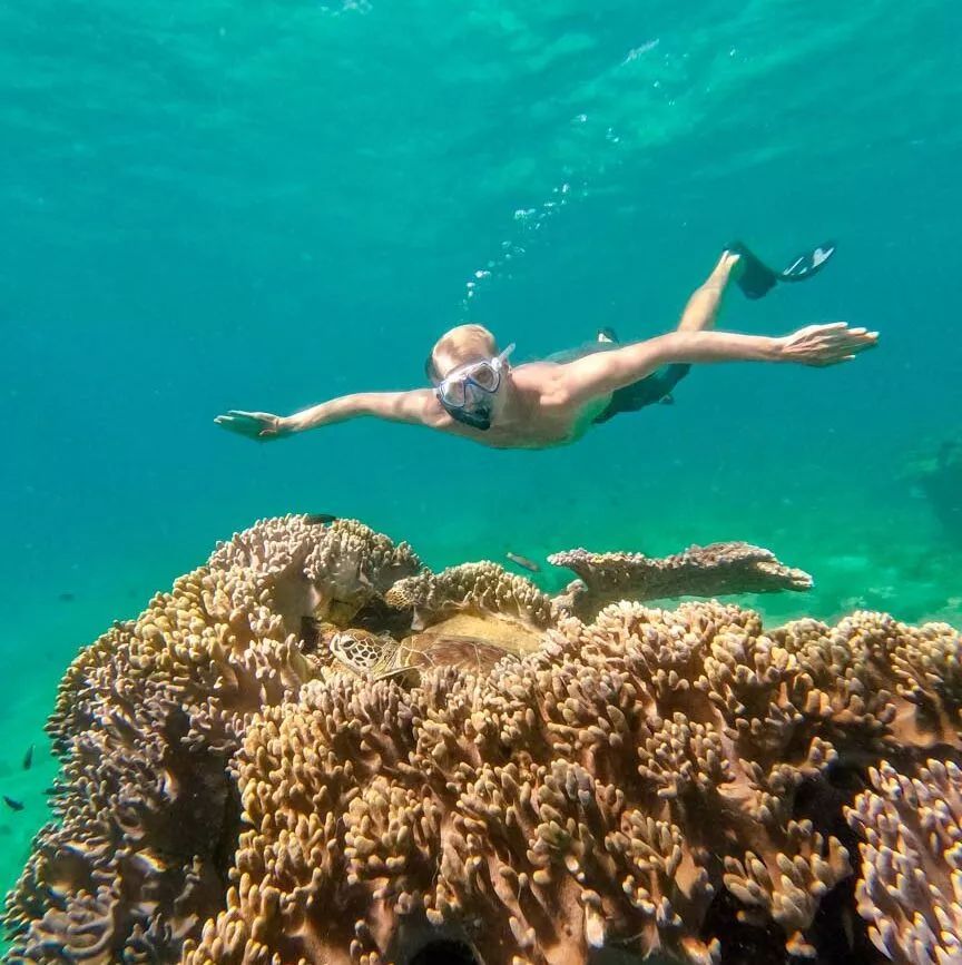 indonesien gili inseln schildkroeten indonesien gili inseln schildkröten
