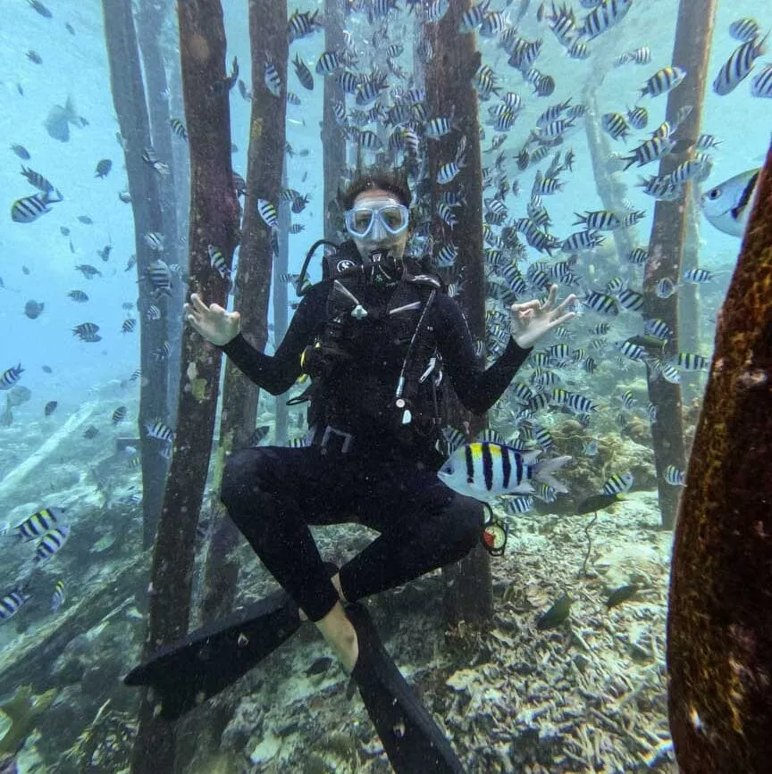 indonesien raja ampat tauchen