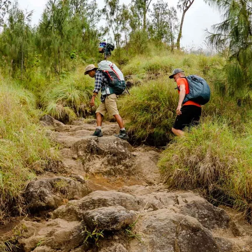 indonesien rinjani weg zum krater indonesien Rinjani Weg zum Krater