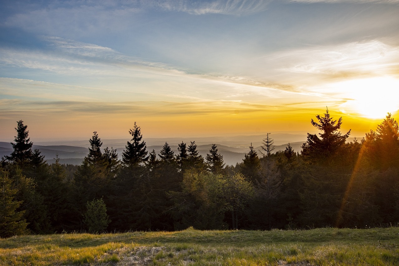 schneekopf schneekopf