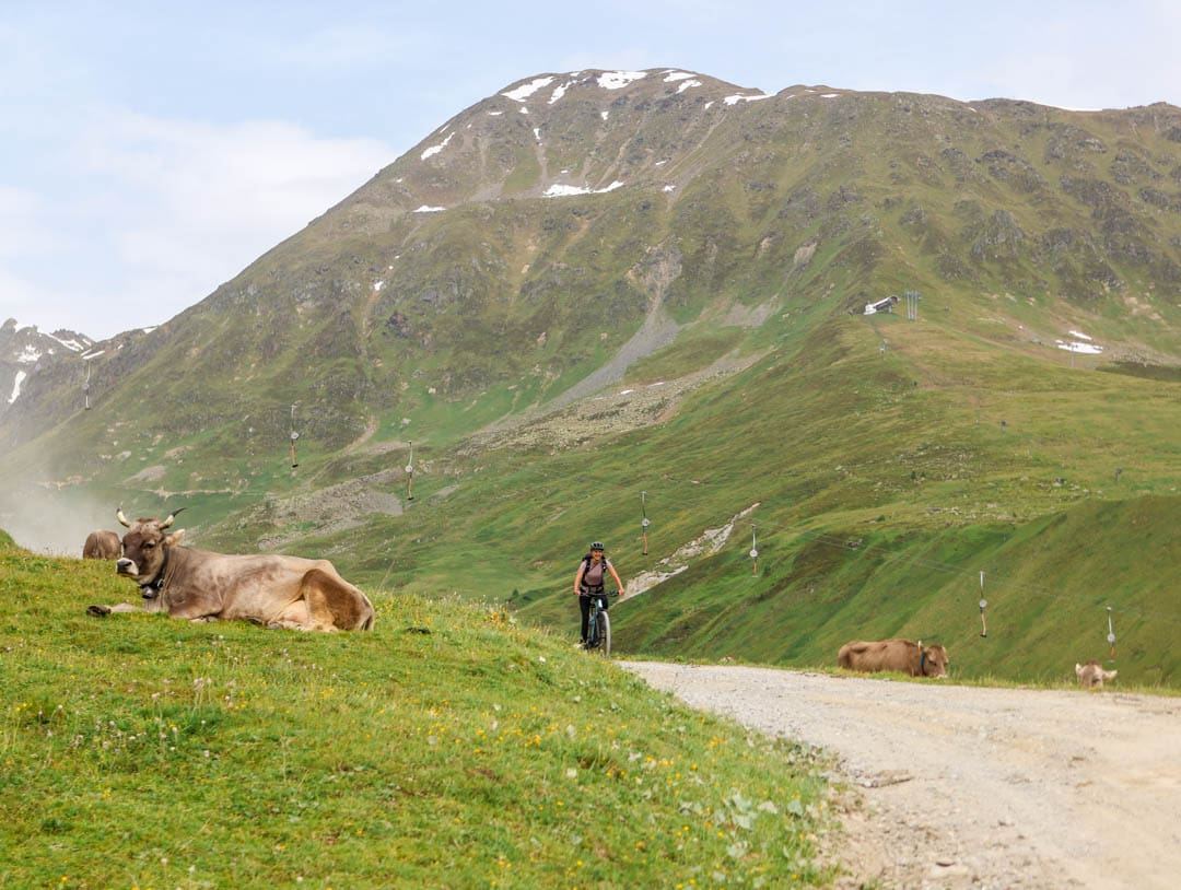 serfaus fiss ladis 198 von 239