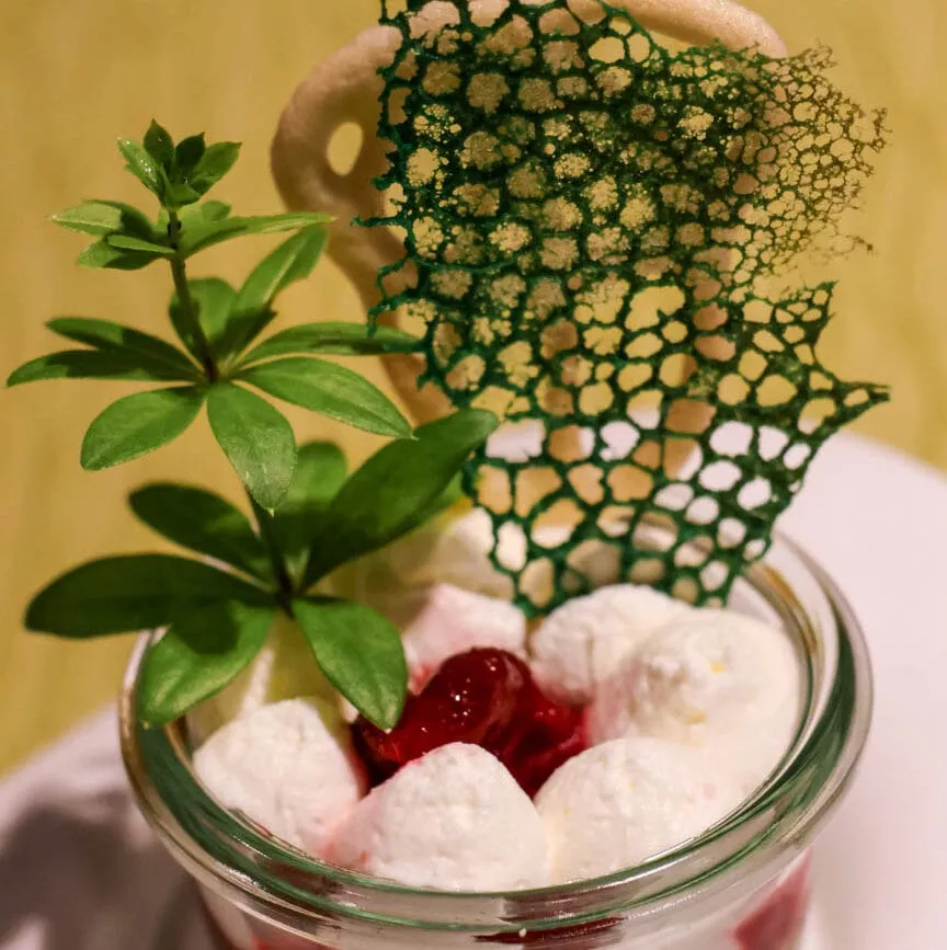 serfaus fiss ladis 87 von 239