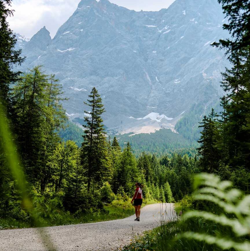 spaziergang zur gamsalm