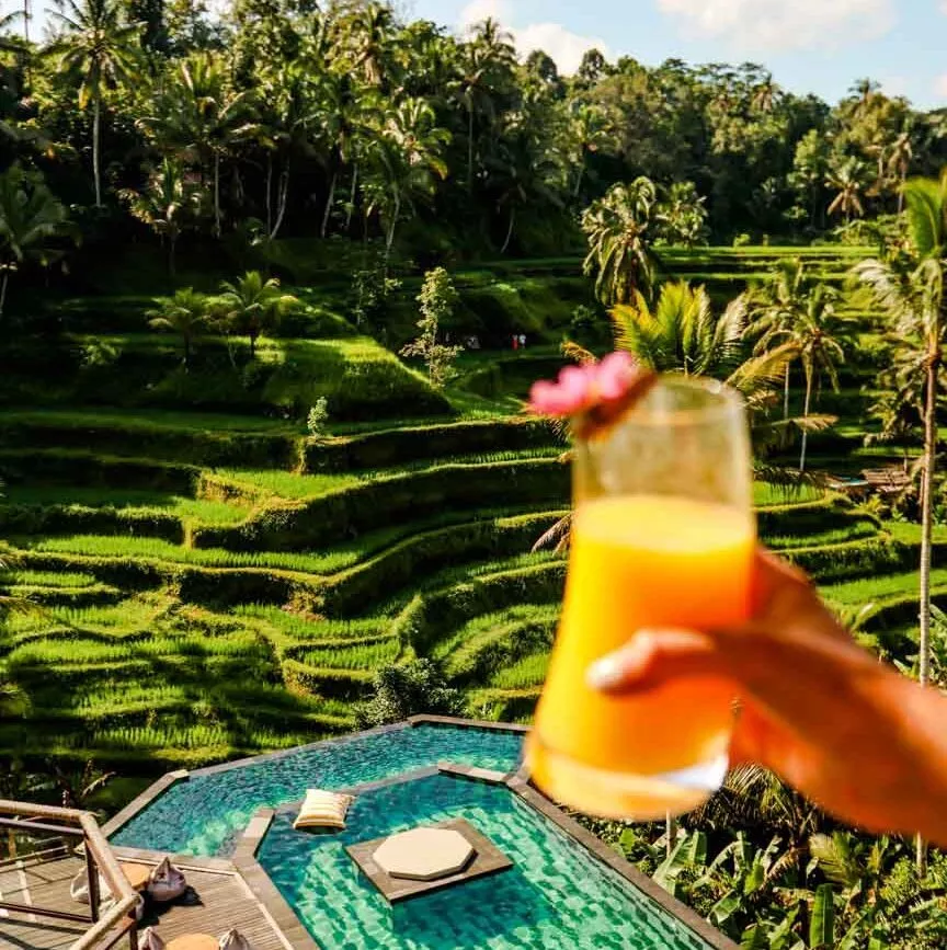 tegallalang reisterrassen ubud bali coffee club bali Tegallalang Reisterrassen Ubud Bali Coffee Club Bali