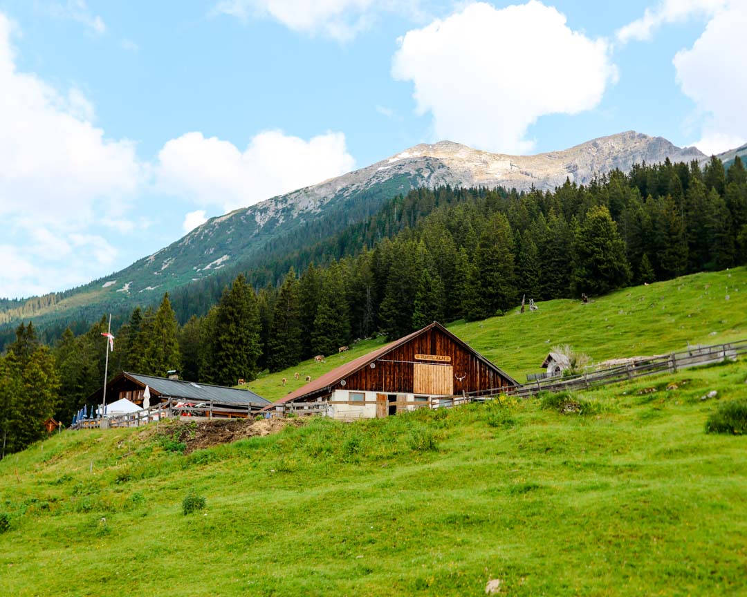 tuftl alm in der tiroler zugspitz arena