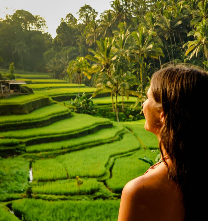 Ubud Bali Blick auf Tegalalang Reisterrassen