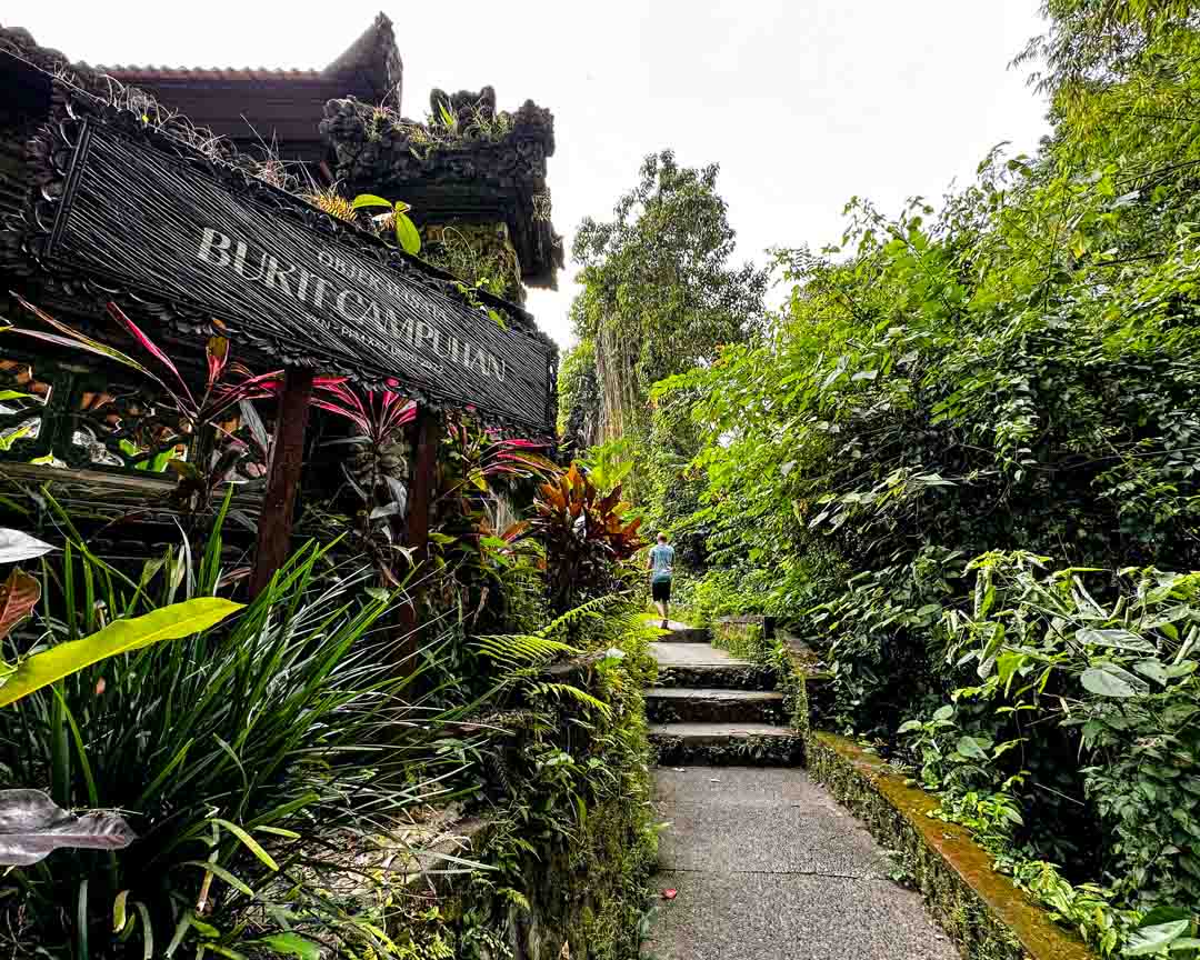 ubud bali campuhan ridge walk ubud bali campuhan ridge walk