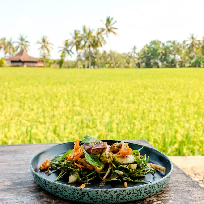 Ubud Bali Huma Cafe by Goldmine Essen