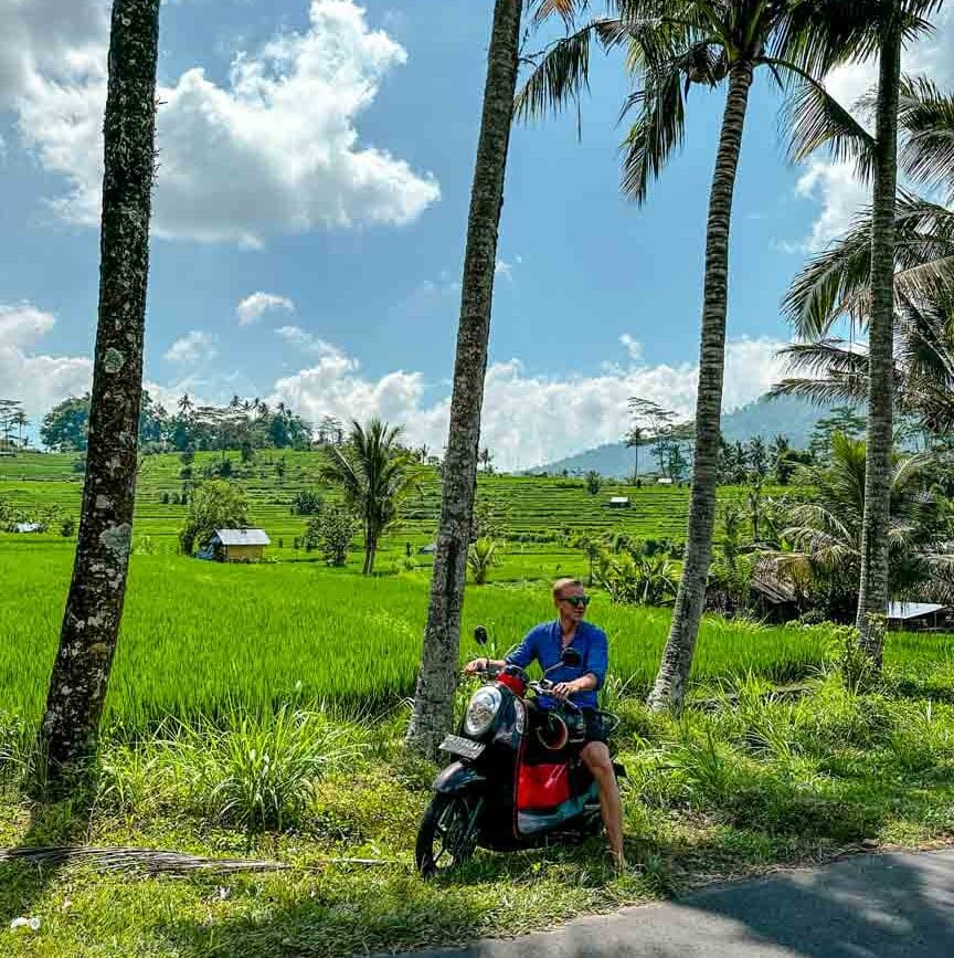 Ubud Bali Roller bei Reisterrassen