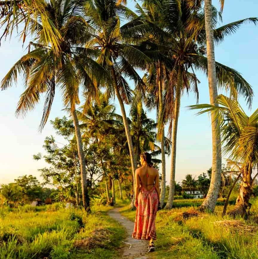 ubud bali sweet orange walk trail 2 ubud bali sweet orange walk trail 2