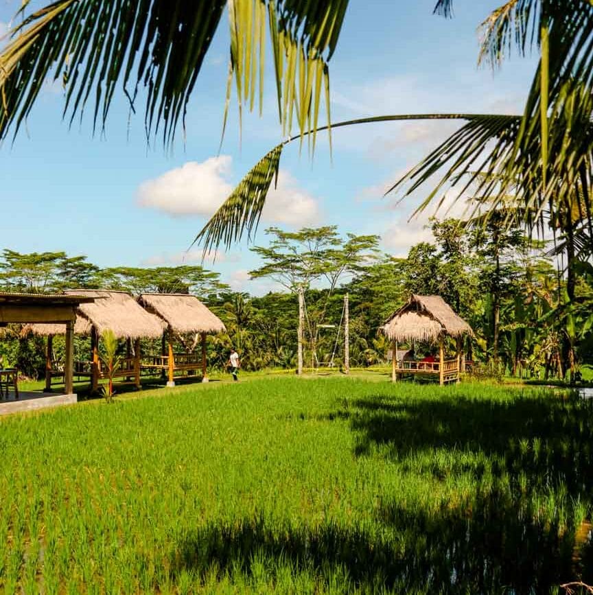 Ubud Bali Warung D’Carik Tibumana