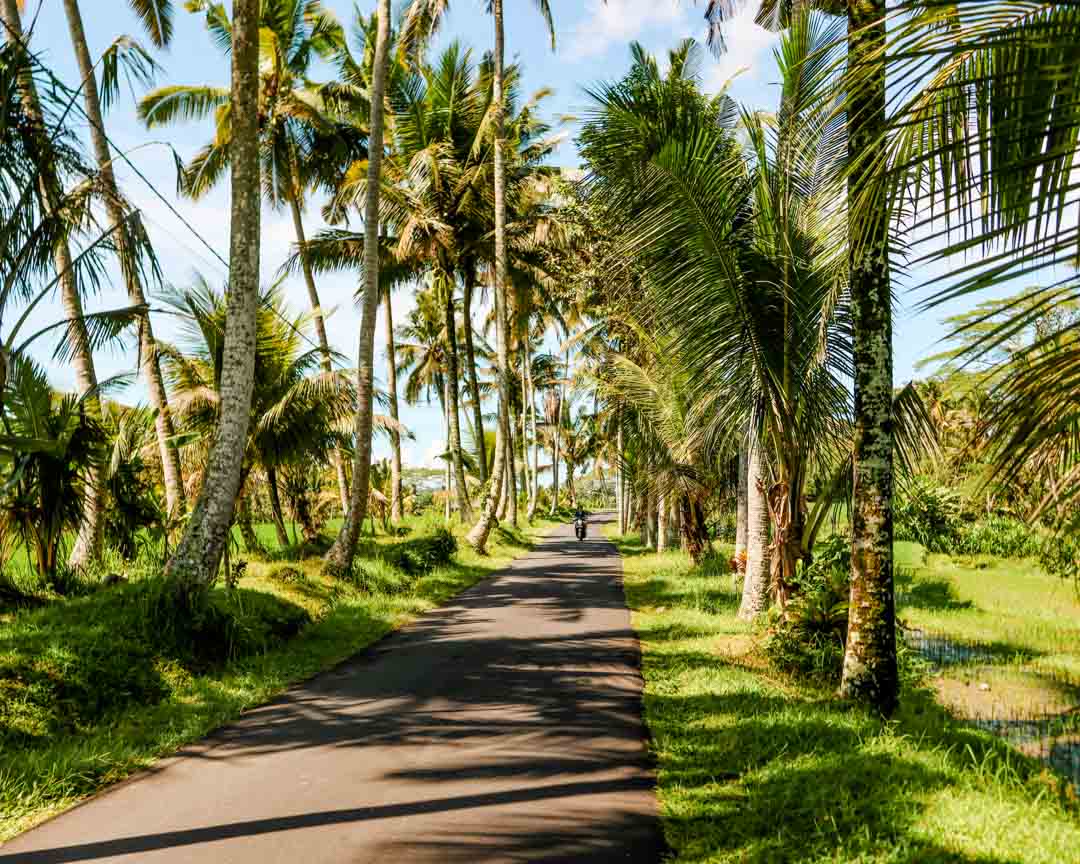 ubud bali weg zum tibumana wasserfall ubud bali weg zum tibumana wasserfall