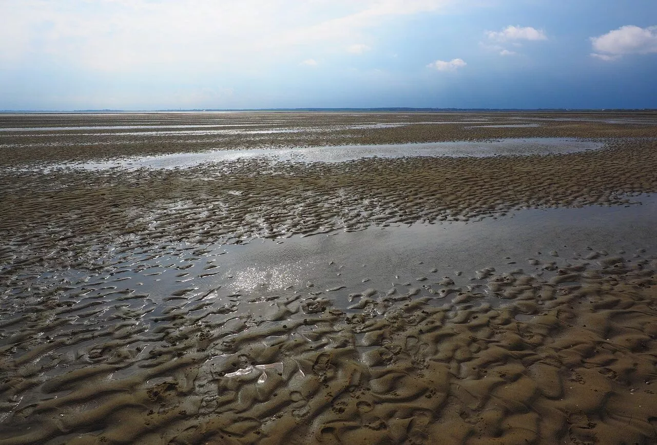 Watenmeer bei Cuxhaven