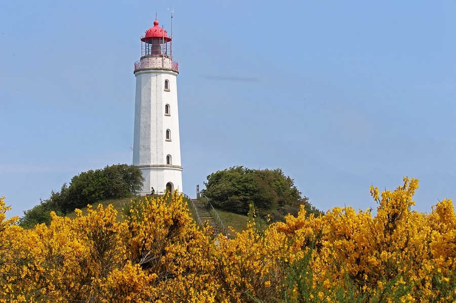 leuchtturm hiddensee