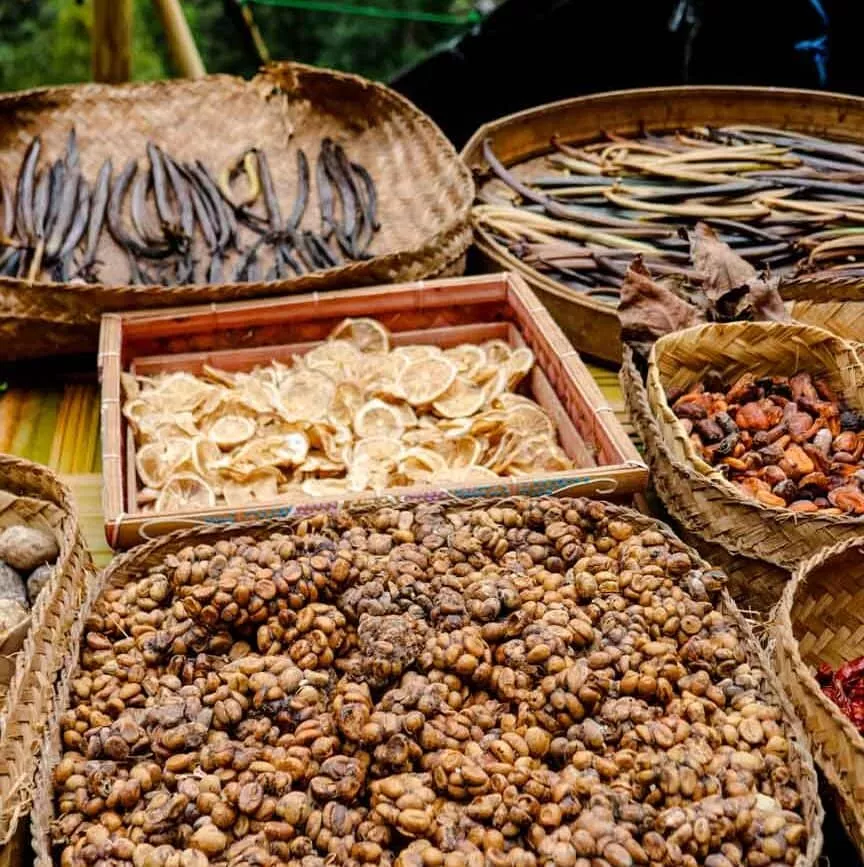 munduk wasserfall wanderung bali warungs gewuerze und luwak kaffee