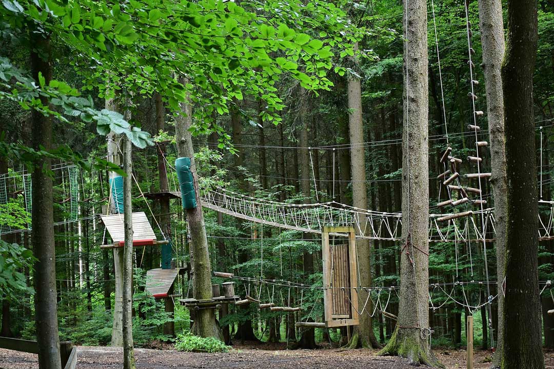 Hochseilgarten Fun Forest Homburg Saarland