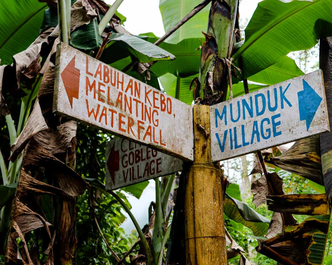 wanderweg munduk wasserfall wanderung bali 2