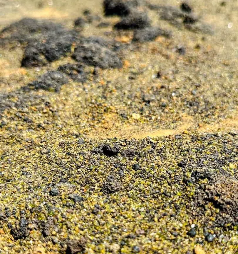 Hawaii Big Island Green Sand Beach