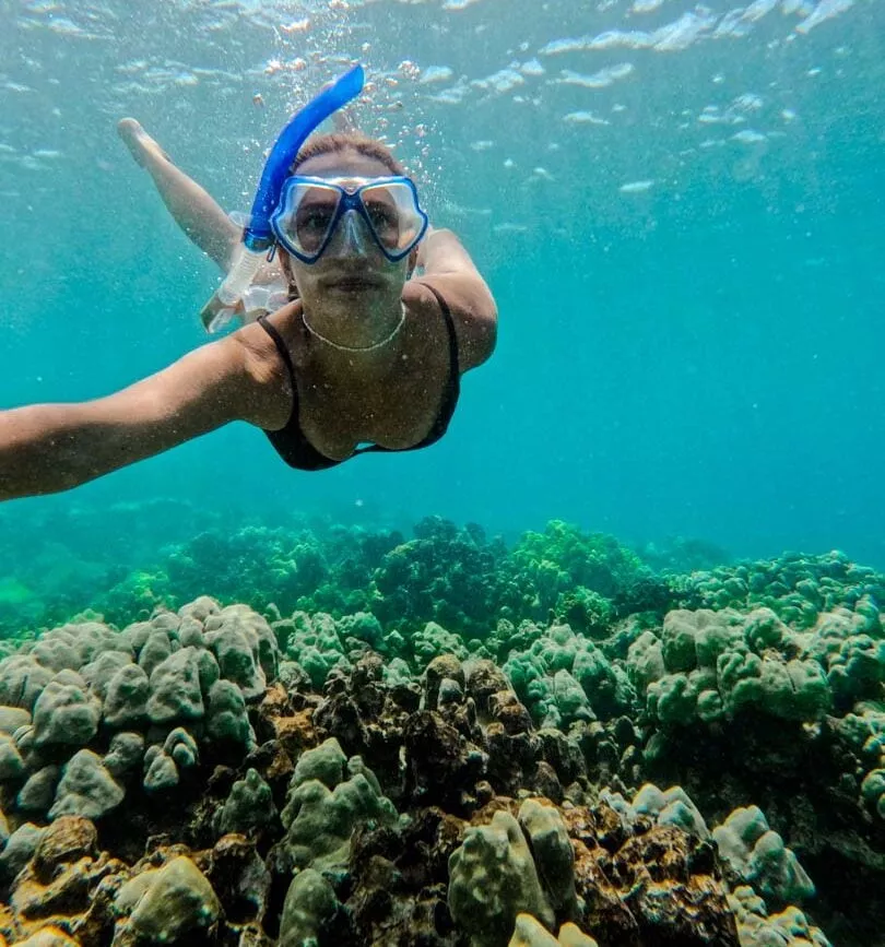 Hawaii Big Island Schnorcheln