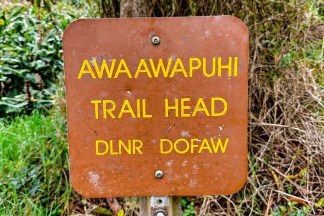kauai hawaii awaawapuhi trail 5