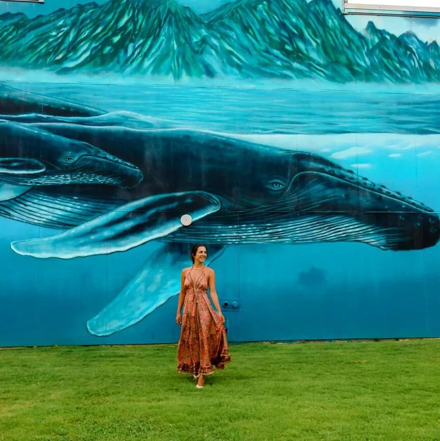 kauai hawaii graffiti in wailua kauai hawaii graffiti in wailua