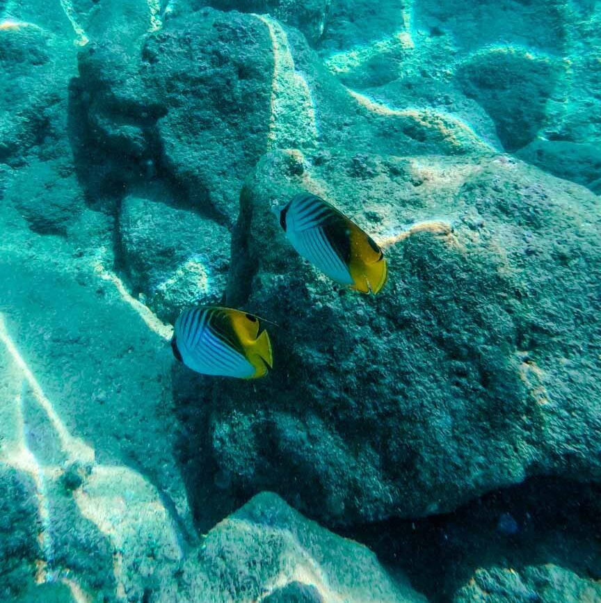 Kauai Hawaii Hā’ena Beach