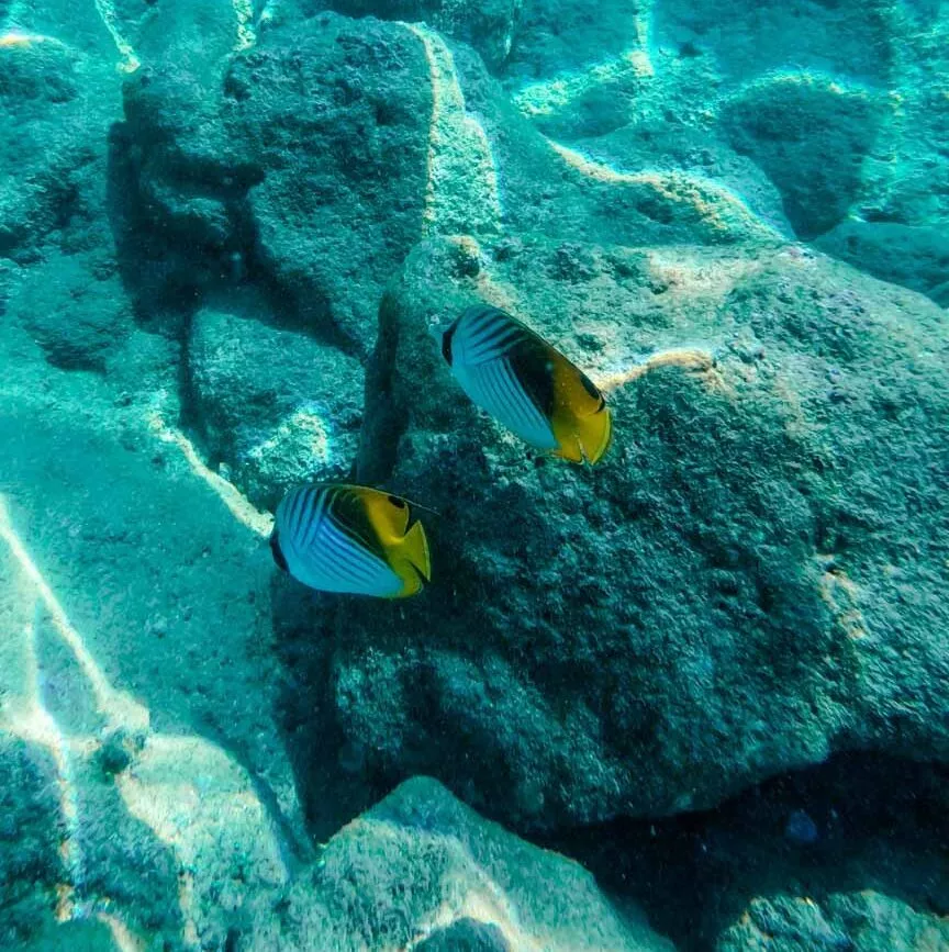 Kauai Hawaii Hā’ena Beach