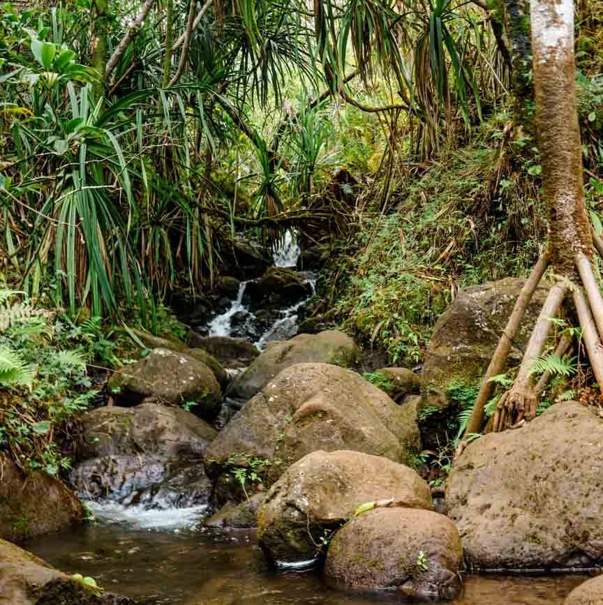 Kauai Hawaii Hanakāpīʻai Falls Wanderung
