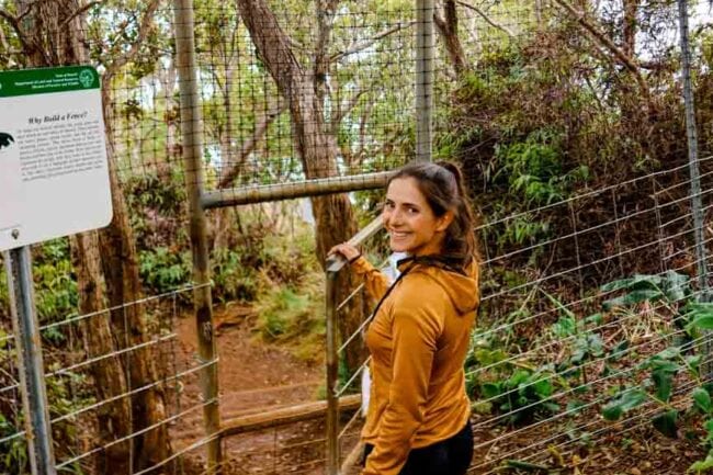 kauai hawaii kalepa ridge trail 15