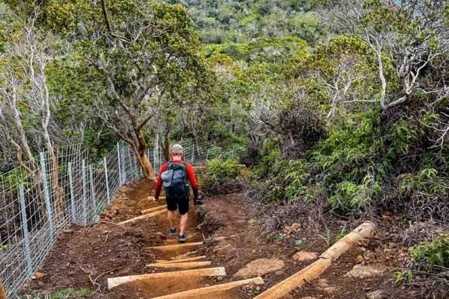 kauai hawaii kalepa ridge trail 4
